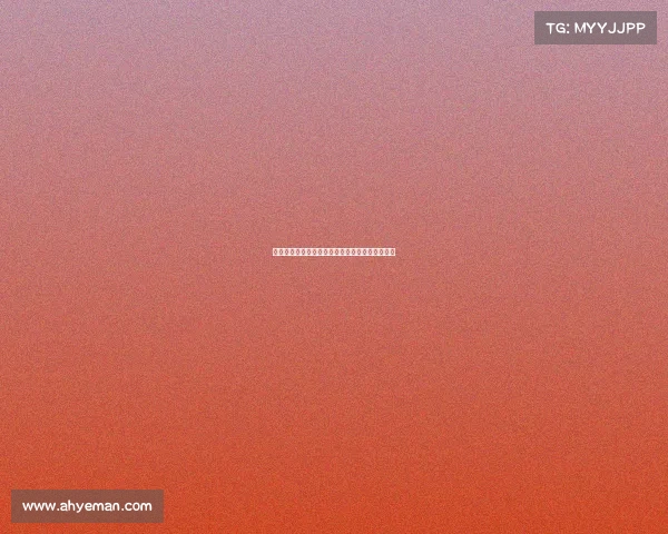 过去一个赛季出战次数最多的劳模阵容盘点与分析